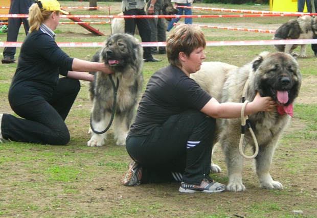 Klubówka moskwa 2008