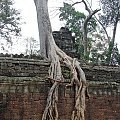 Ta Prohm