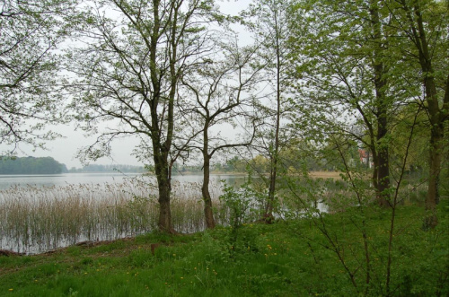 1 maja 2008 Kórnik - Zamek - Arboretum #KrajobrazZamekKórnikWielkopolska