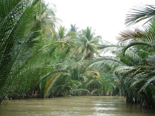 delta Mekongu