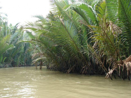 delta Mekongu