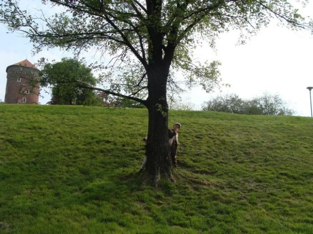 Pawełek i Jasio w Krakowie i Tatrach-maj 2008