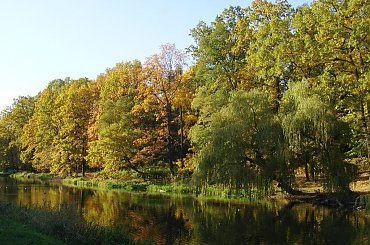 TORUŃ - PARK #FaunaIFlora