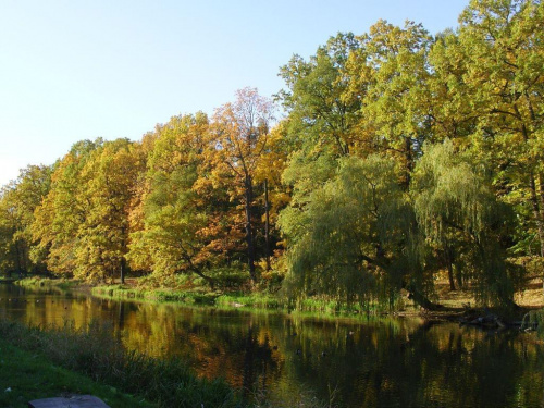 TORUŃ - PARK #FaunaIFlora