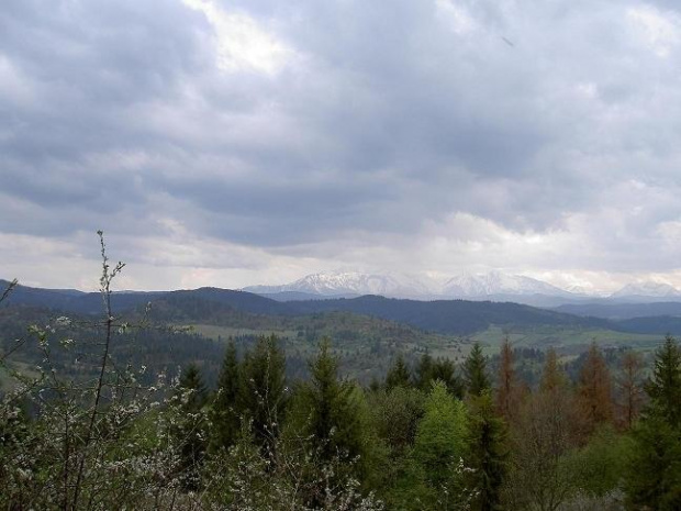 Pieniny Słowackie 2008
Widokna Tatry