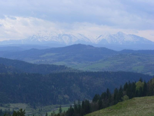 Pieniny Słowackie 2008
Widokna Tatry