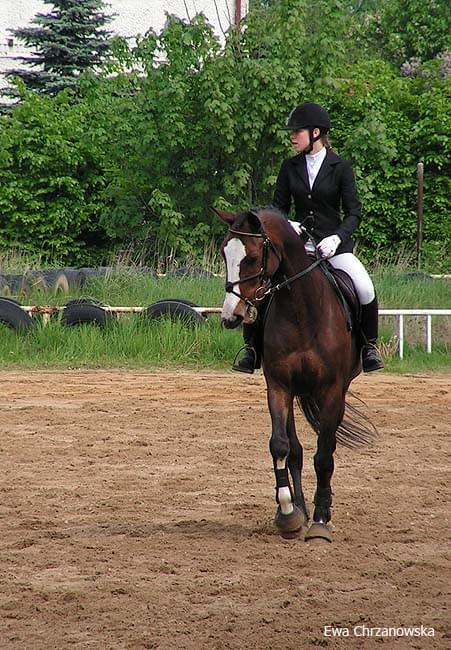 16.05.2008 Zawody Rybnik