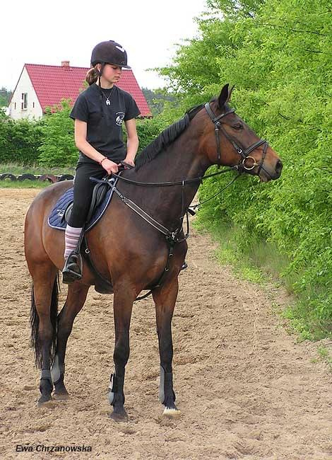 16.05.2008 Zawody Stodoły - I dzień