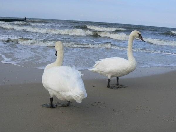 Na plaży w Ustroniu Morskim