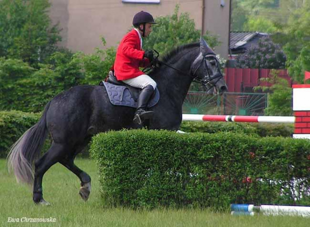 17.05.2008 Zawody w Stodołach