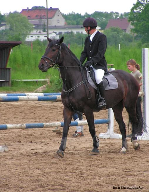 17.05.2008 Zawody w Stodołach