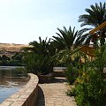 Ogród botaniczny #Egipt #RejsPoNilu
