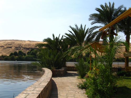 Ogród botaniczny #Egipt #RejsPoNilu
