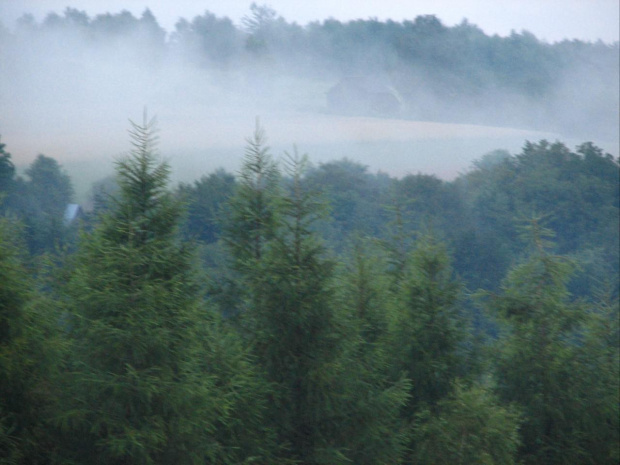 Dolina Prądnika