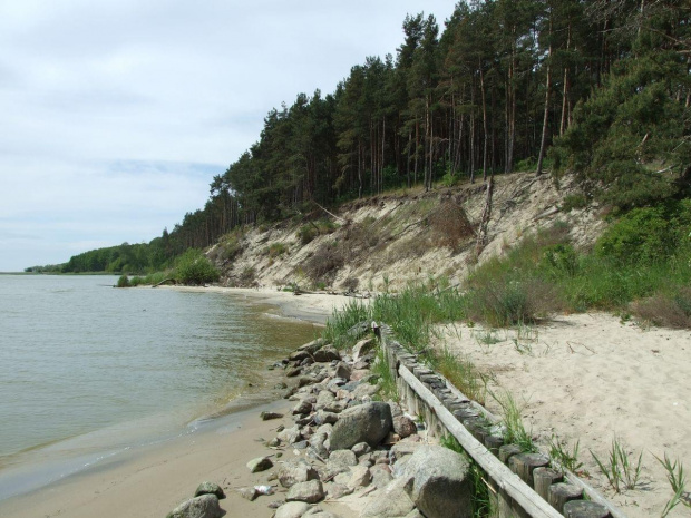 Piaski, mała skarpa od strony Zalewu Wiślanego na Mierzeji