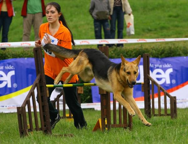 Zawody Agility 24.05.2008 Bydgoszcz PPA