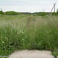 Rzut oka za siebie. Widok w stronę Gzina(Bydgoszczy). Mocno zarośnięte. Po lewej odchodziła linia do Torunia.