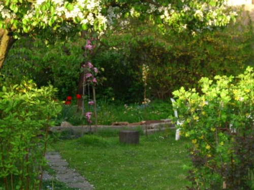 ogród