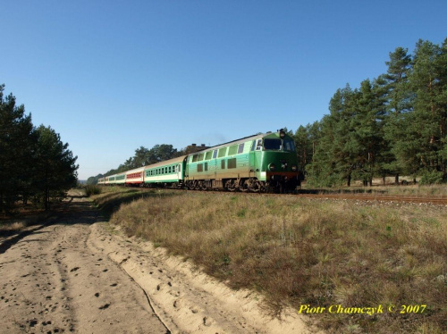 SU45-245 z Chełmianinem P82100 Kostrzyn - Chełm na trasie Trzcianka - Piła Główna, a dokładnie na byłym szlaku Stobno - Piła Główna #kolej #PKP #jesień