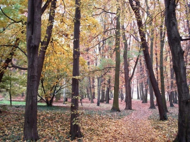 Wrocław 28.10.2007