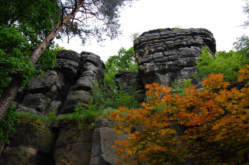 szwajcaria lwówecka #skały #śląsk #lwówek #krajobraz