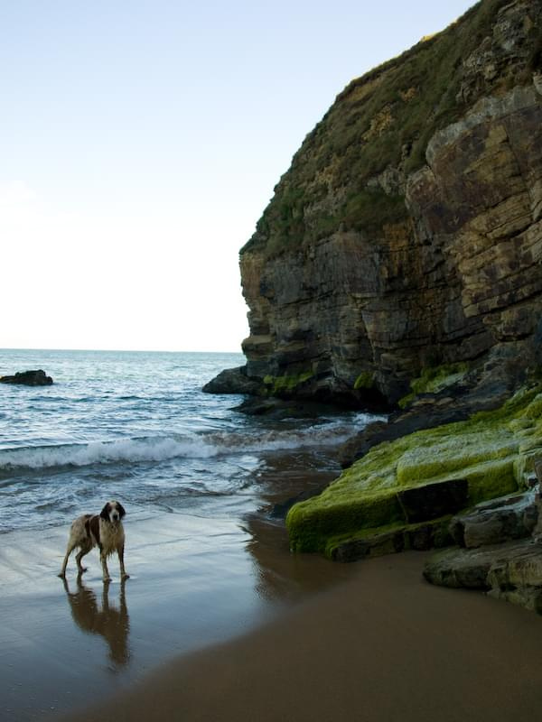 rocky bay cork ireland