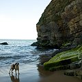 rocky bay cork ireland