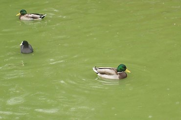 #iNOWROCŁAW #WIDOKI #SOLANKI