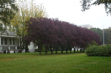 #iNOWROCŁAW #WIDOKI #SOLANKI