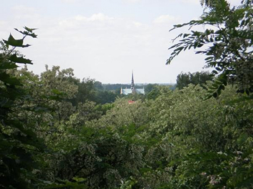 widok z Rudziej Góry w Łodzi