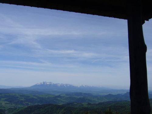 widok z wieży na Radziejowej na Tatry