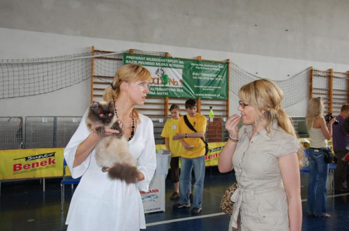 Wystawa Kotów Rasowych w Krakowie - niedziela 08.06.2008 #wystawa #koty #Kraków