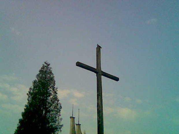 gołąb na krzyżu
