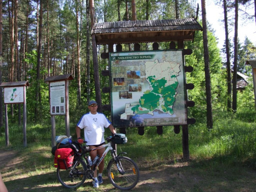 w drodze na Supraść malownicze wioski i pamiątki po zjawiskoych drzewach Puszczy Knyszyńskiej