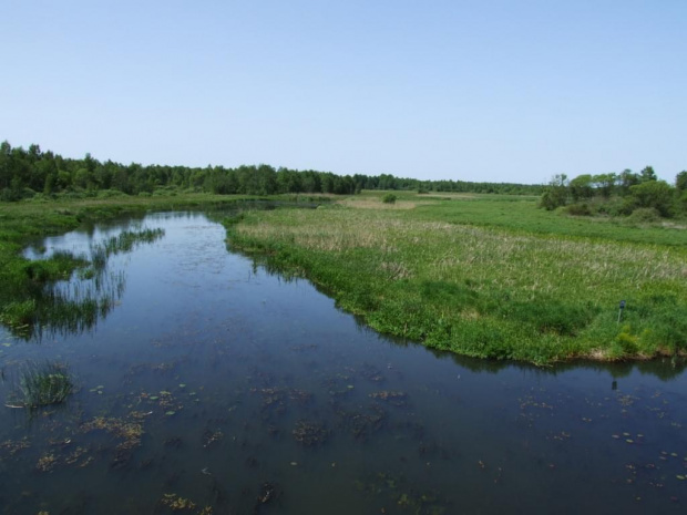 rzeka Biebrza i punkt widokowy na Biebrzański Park Narodowy. jak to opisał kol Siwy "zaj... morze zieleni"