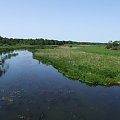 rzeka Biebrza i punkt widokowy na Biebrzański Park Narodowy. jak to opisał kol Siwy "zaj... morze zieleni"