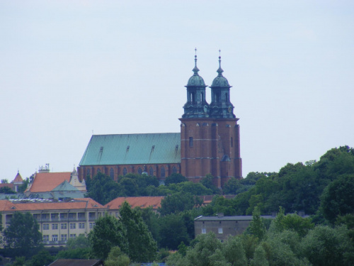 Katedra Gnieznienska .