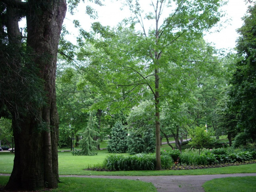 w parku #park #Toronto #Czerwiec2008