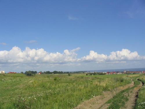 Szczecin - Warszewo - łąka #łąka #pole #warszewo #krajobraz #niebo