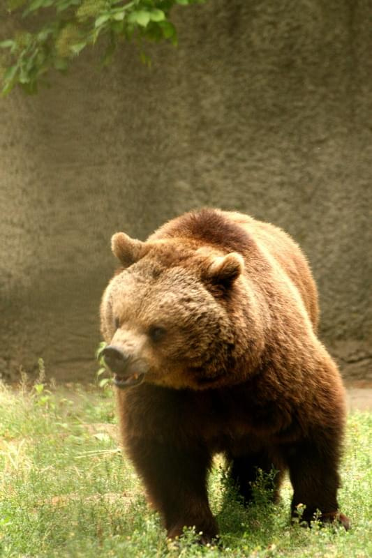 bydgoszcz zoo