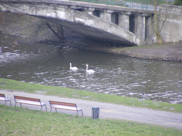 Park Kasprowicza - wiosna 2008 r.