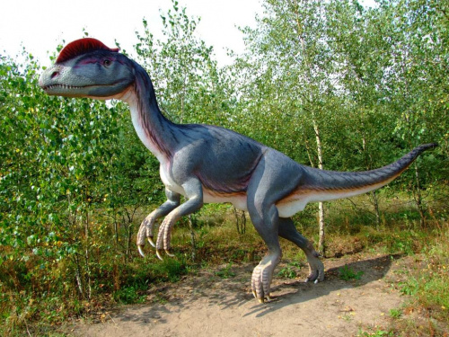 Dilofozaur #dinozaur #dilofozaur