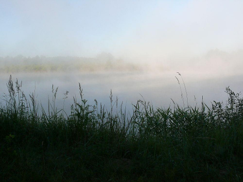 Mgła nad wodą pierwszego poranka