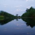 #widawa #rzeka