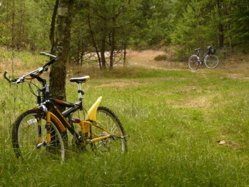Rower do podróży, wspaniały #rower #las #odpoczynek