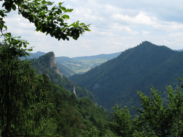 Sokolica z Czertezika