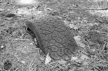 To tylko opona urosła sobie w lesie ;) #opona #syf #las