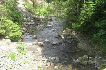 Rzeczka #rzeka #wisla #woda #wakacje