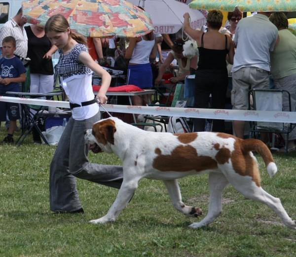 34 Krajowa Wystawa Psów w Ustroniu