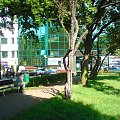 Tomaszów Mazowiecki - park przy ratuszu miejskim- ul.POW